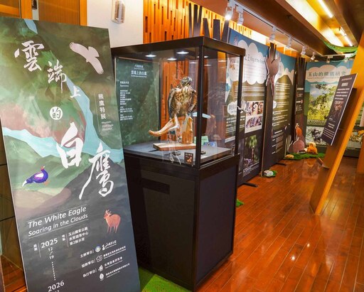 雲端上的白鷹－熊鷹特展